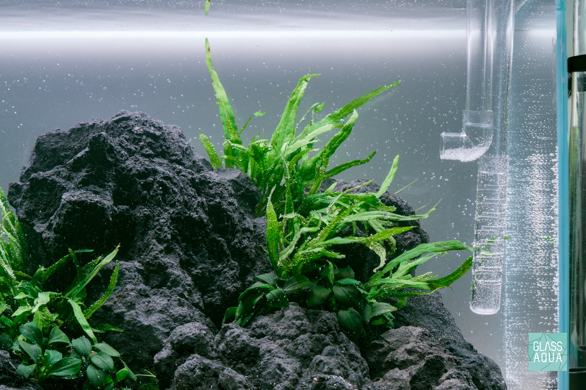 Ultum Nature Systems UNS 45U Chameleon Stone Planted Aquarium