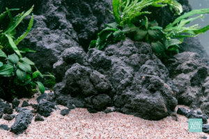 Ultum Nature Systems UNS 45U Chameleon Stone Planted Aquarium