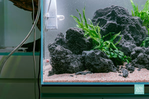 Ultum Nature Systems UNS 45U Chameleon Stone Planted Aquarium