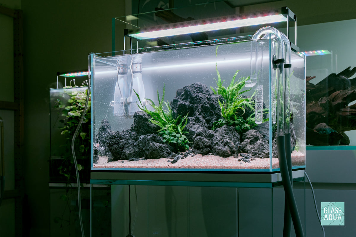 Ultum Nature Systems UNS 45U Chameleon Stone Planted Aquarium