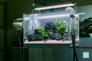 Ultum Nature Systems UNS 45U Chameleon Stone Planted Aquarium