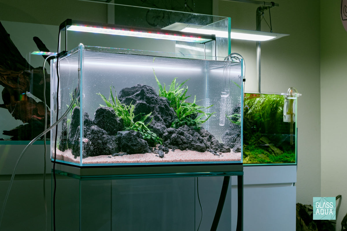 Ultum Nature Systems UNS 45U Chameleon Stone Planted Aquarium