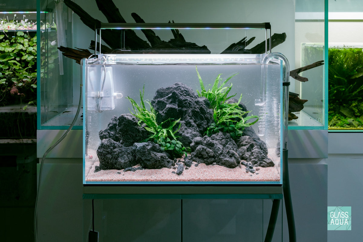 Ultum Nature Systems UNS 45U Chameleon Stone Planted Aquarium