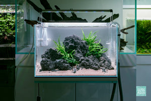 Ultum Nature Systems UNS 45U Chameleon Stone Planted Aquarium