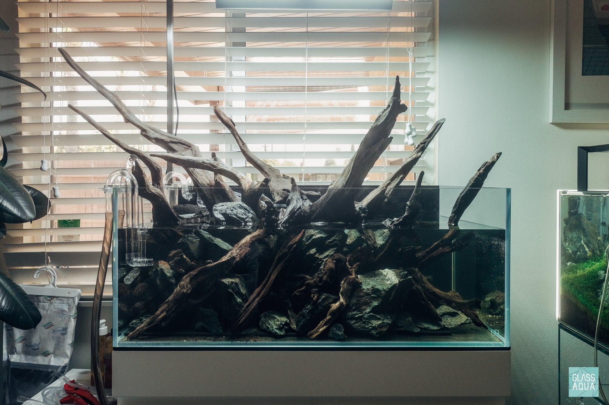 Rainforest Mist - Ultum Nature Systems 75S shallow planted aquarium filled