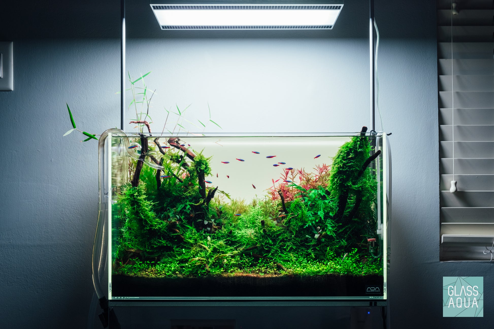 Build Your Own Moss-Covered Driftwood Decor