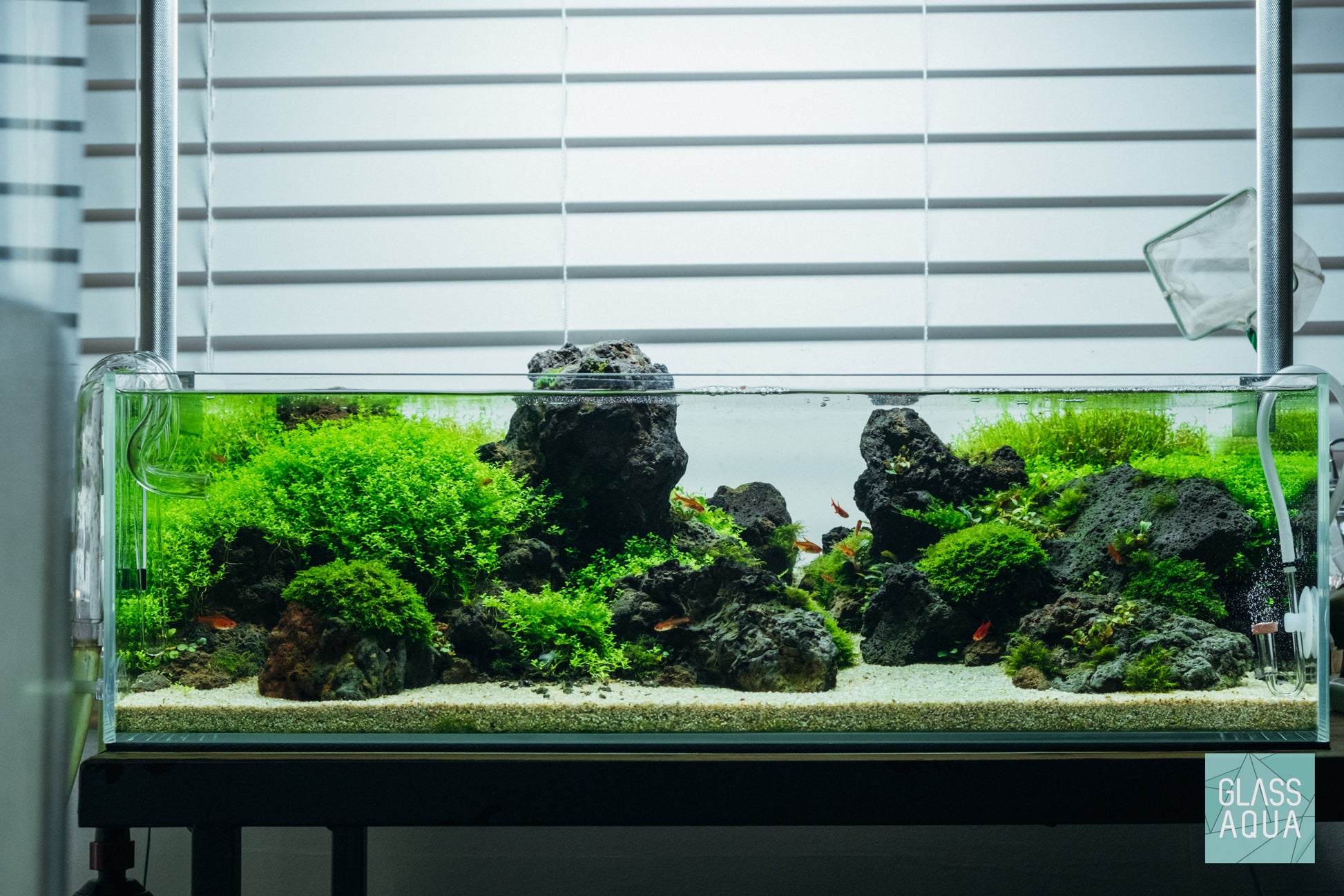 Build Your Own Aquarium Kit - Shallow Tank - Glass Aqua