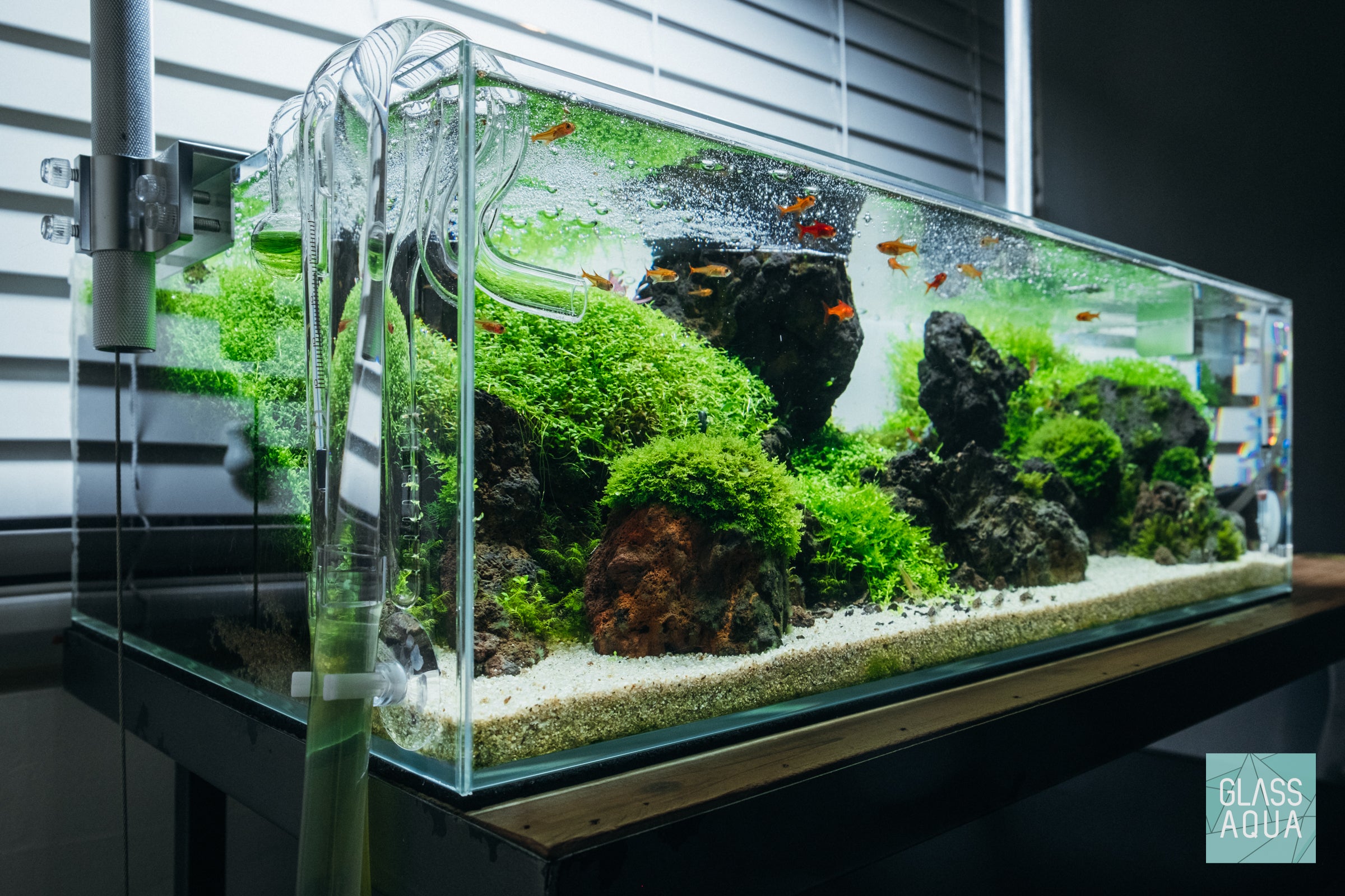 Ultum nature systems UNS 60S Shallow Rimless Glass Aquarium Tank