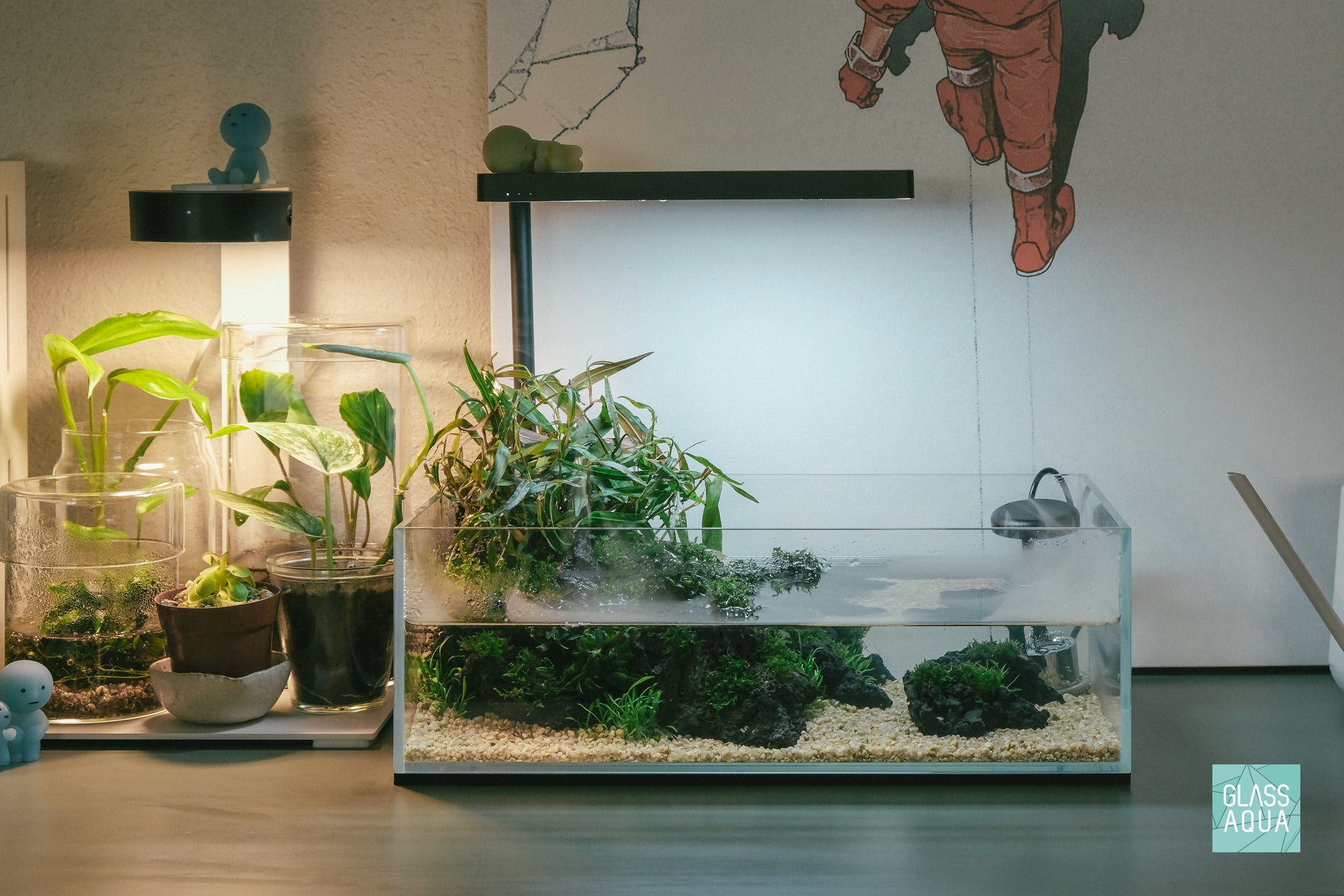 Low maintenance nano planted shallow aquarium tank with easy aquatic plants