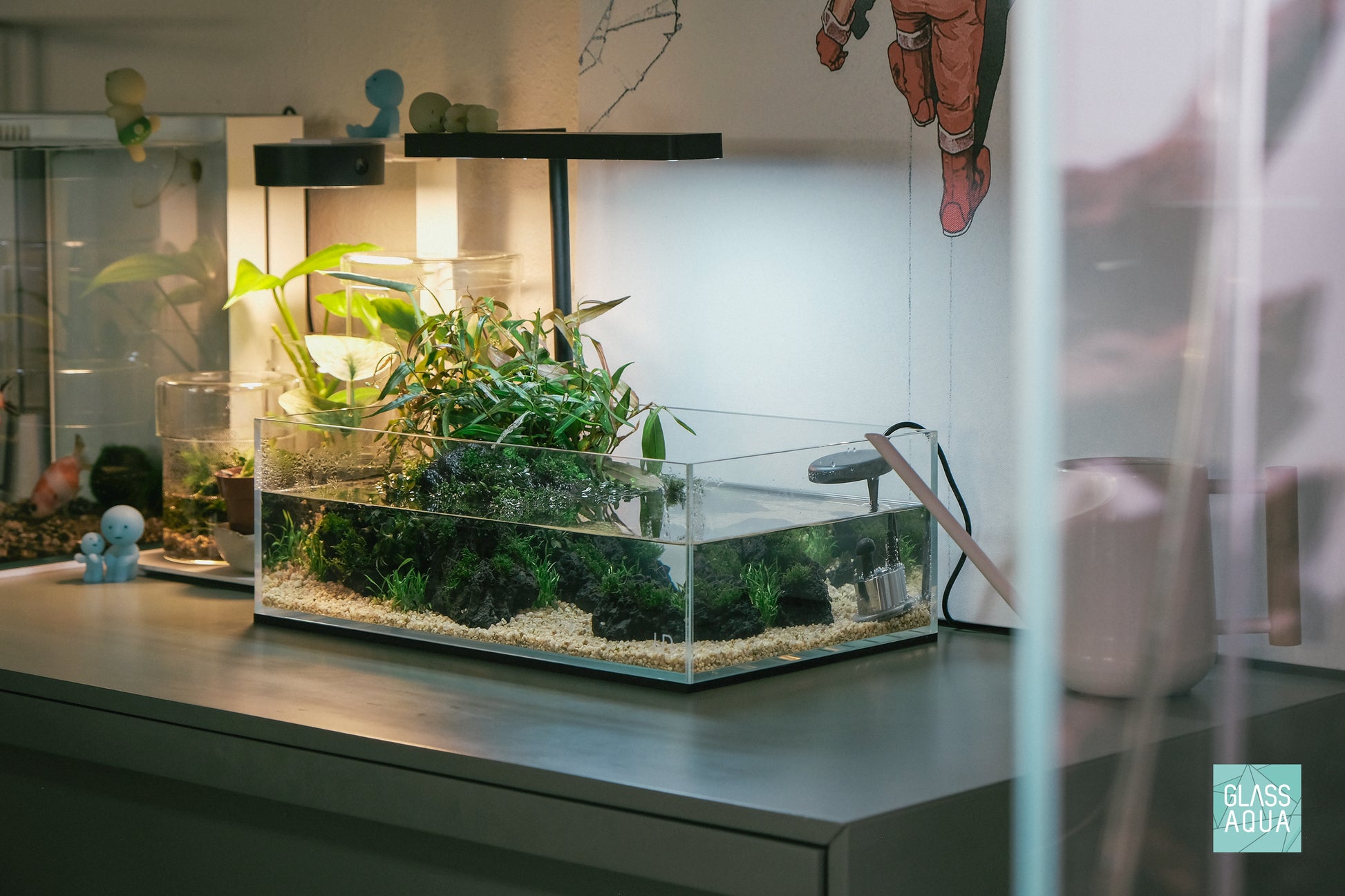 Low maintenance nano planted shallow aquarium tank with easy aquatic plants