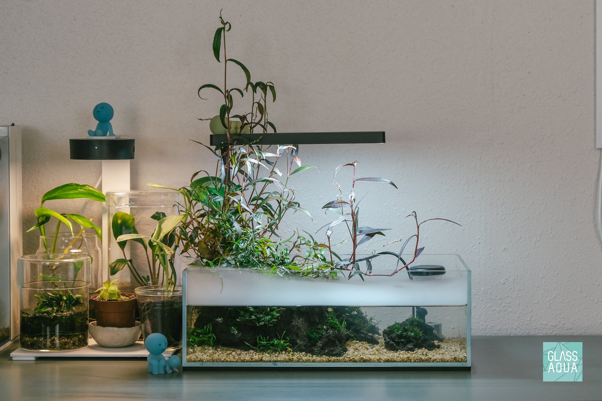 Verdant Spring - UNS 5S 2.5 shallow planted aquarium by Glass Aqua