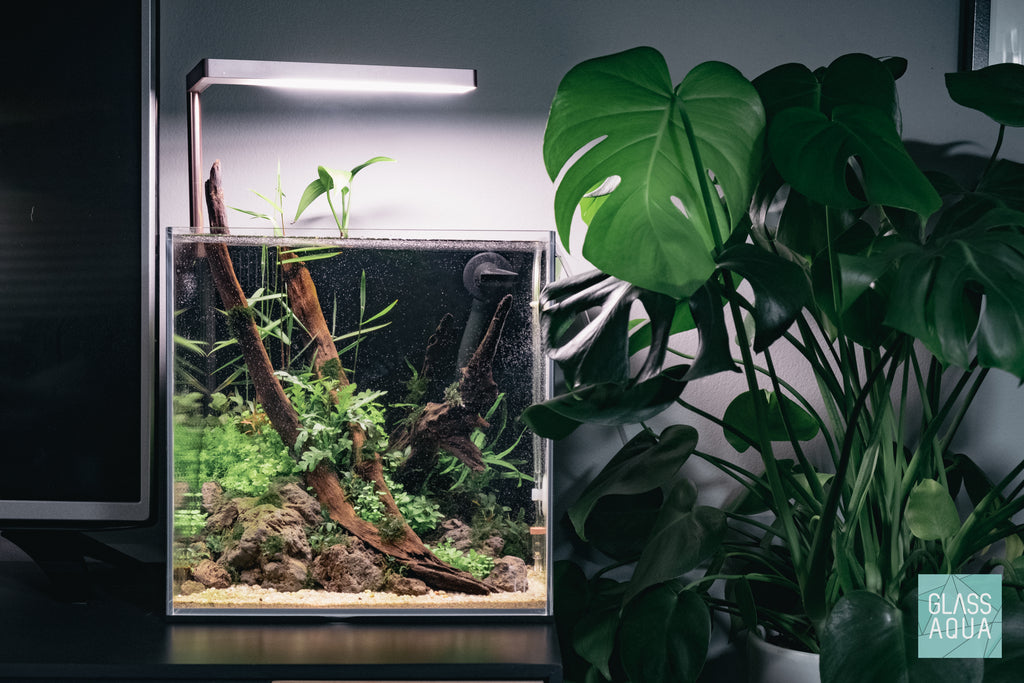 Build Your Own Aquarium Kit - All In One Tank - Glass Aqua