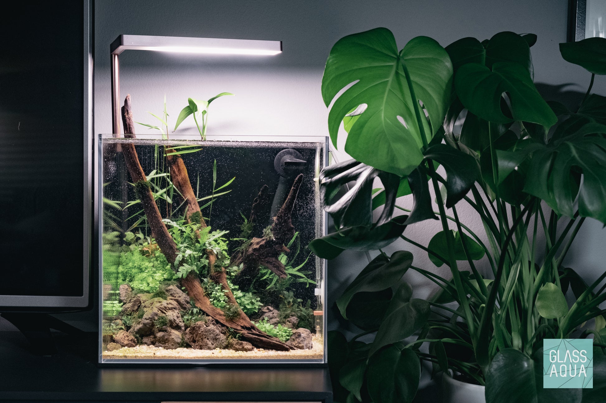 Build Your Own Aquarium Kit - All In One Tank - Glass Aqua