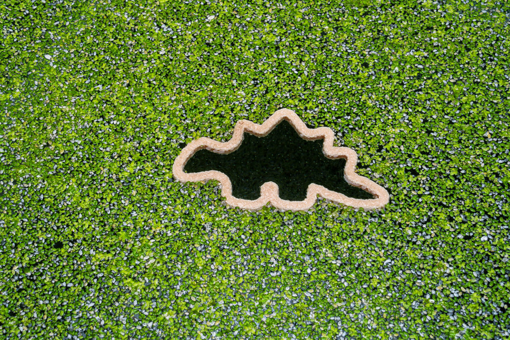 Dino Nugget Shaped Floating Aquarium Plant Ring | Aquarium Accessories