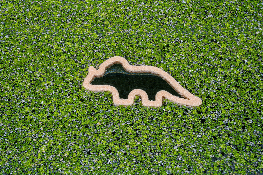 Dino Nugget Shaped Floating Aquarium Plant Ring | Aquarium Accessories