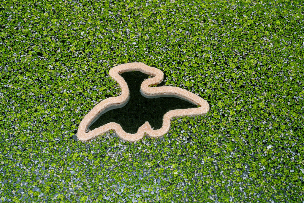 Dino Nugget Shaped Floating Aquarium Plant Ring | Aquarium Accessories