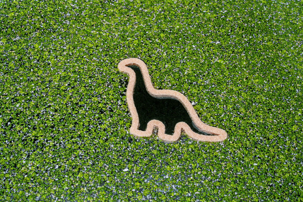 Dino Nugget Shaped Floating Aquarium Plant Ring | Aquarium Accessories