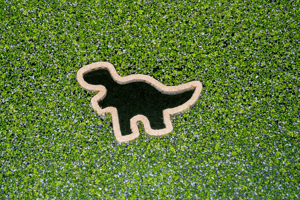 Dino Nugget Shaped Floating Aquarium Plant Ring | Aquarium Accessories