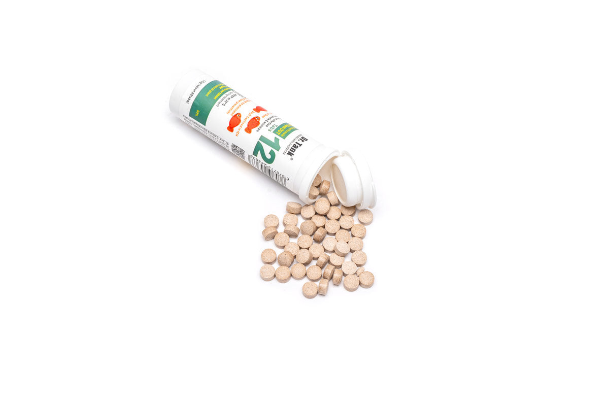 Dr. Tank White Spot Out | Ich White Spot Treatment - Glass Aqua
