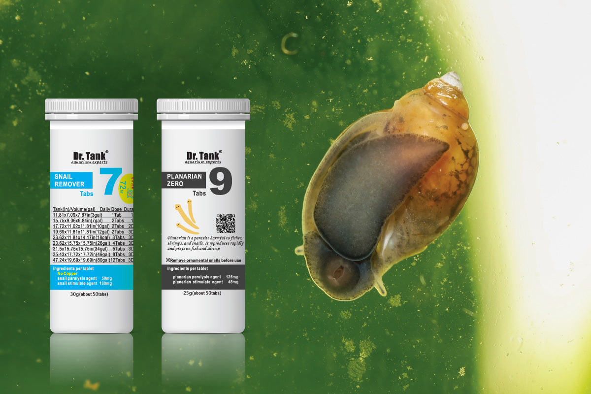 Dr. Tank Aquarium Pest Control and Removal