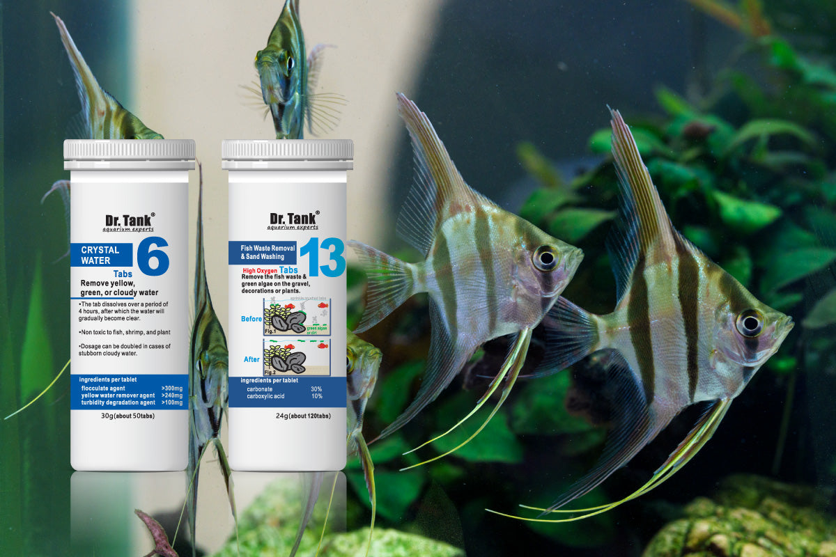 Dr. Tank Aquarium Fish Care Water Conditioner