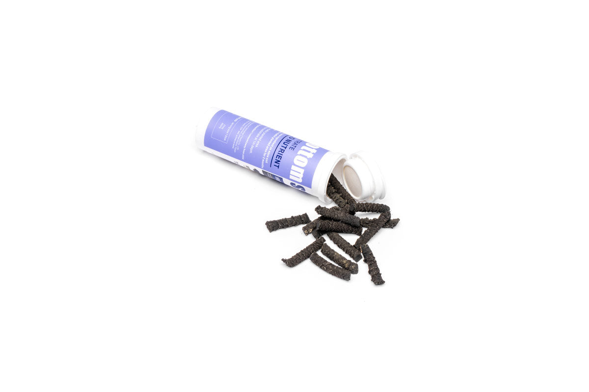 Iron supplement for aquatic plants and planted aquariums