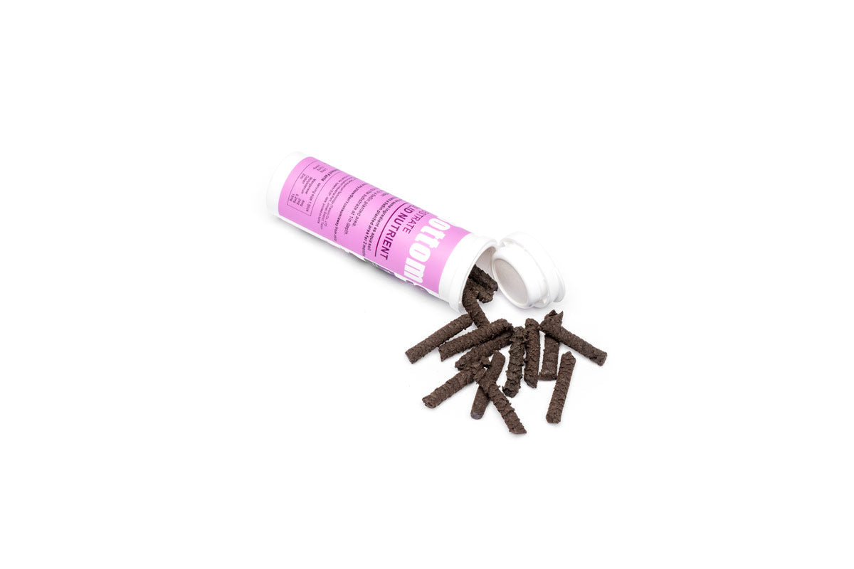 Dr. Tank Trace Elements Nutrient Stick | Shop Aquarium Care - Glass Aqua
