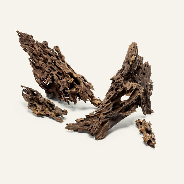 Shop Planted Aquarium Dragon Wood Hardscape - Glass Aqua
