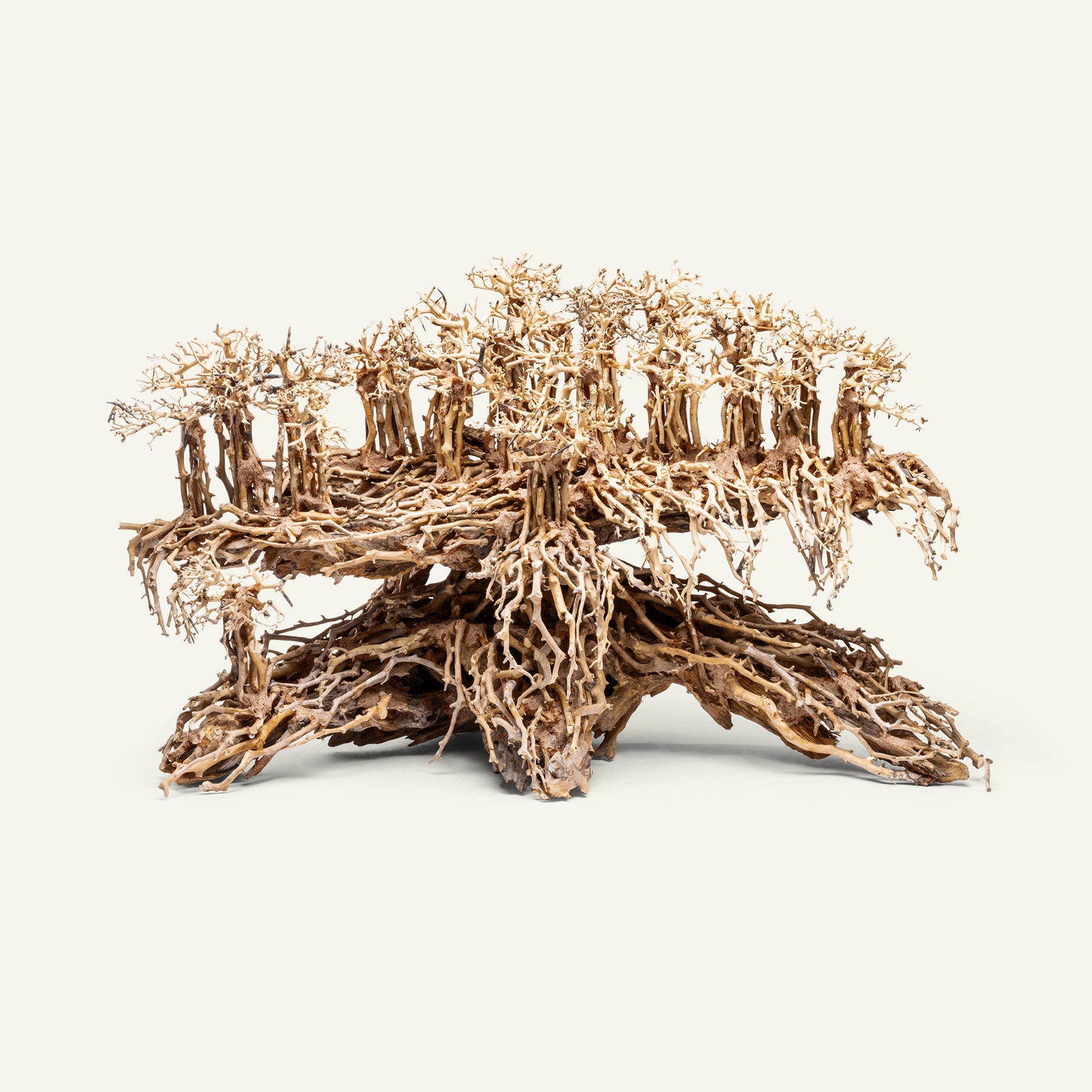 Ultum Nature Systems UNS Bonsai Tree Driftwood Aquarium Hardscape Wood 017