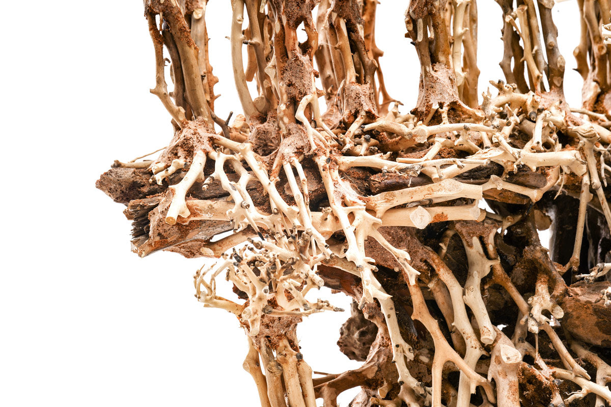 Ultum Nature Systems UNS Bonsai Tree Driftwood Aquarium Hardscape Wood 017