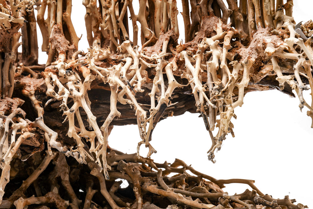 Ultum Nature Systems UNS Bonsai Tree Driftwood Aquarium Hardscape Wood 017