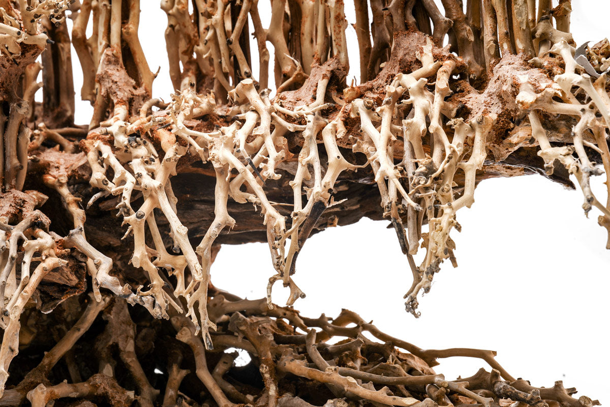 Ultum Nature Systems UNS Bonsai Tree Driftwood Aquarium Hardscape Wood 017