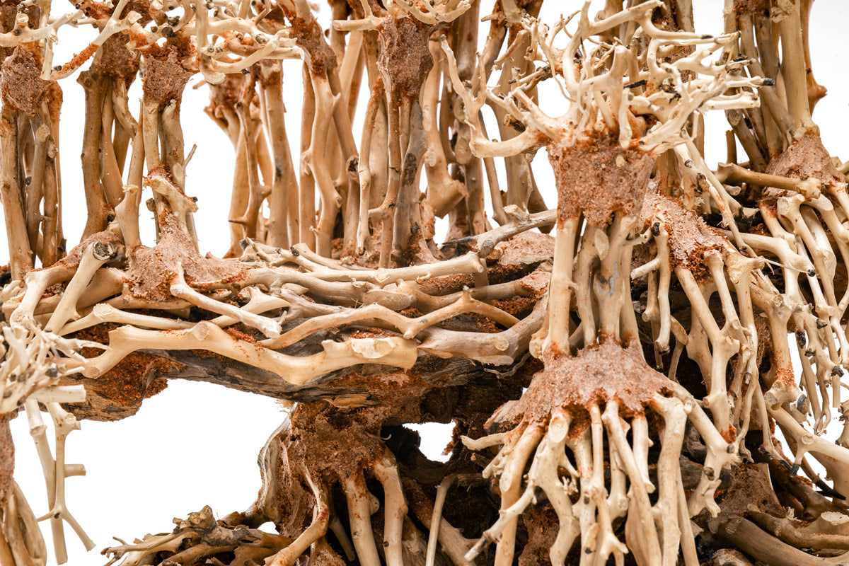 Ultum Nature Systems UNS Bonsai Tree Driftwood Aquarium Hardscape Wood 017