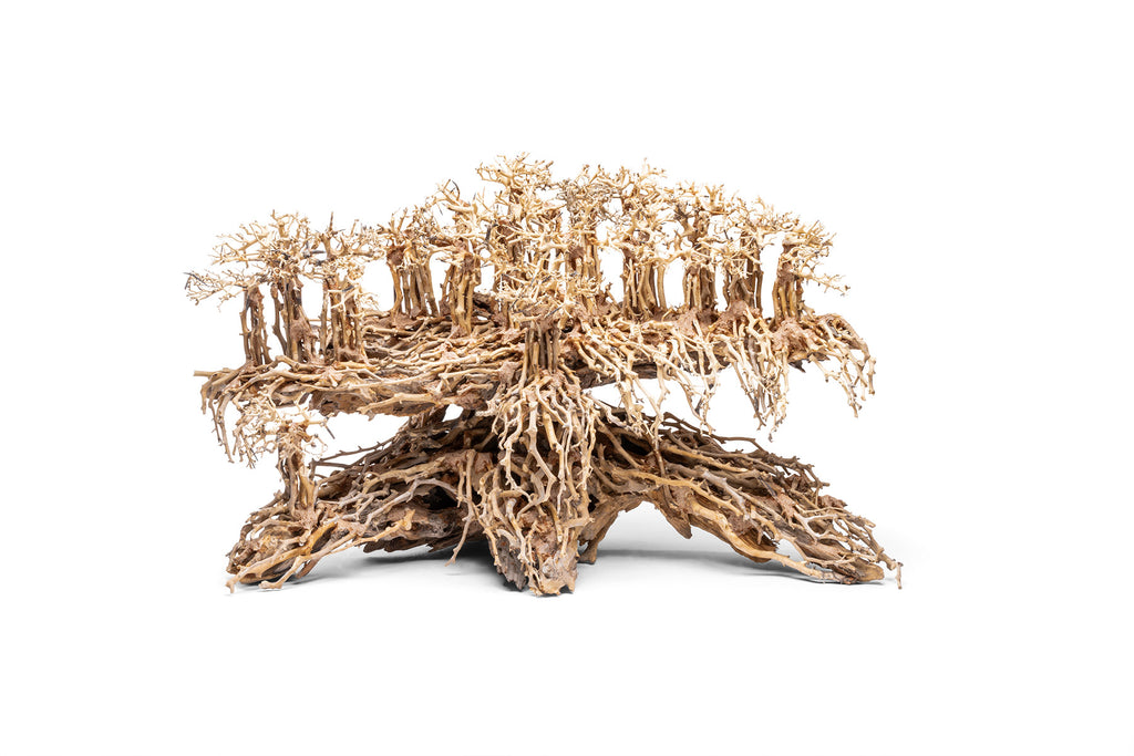 Ultum Nature Systems UNS Bonsai Tree Driftwood Aquarium Hardscape Wood 017