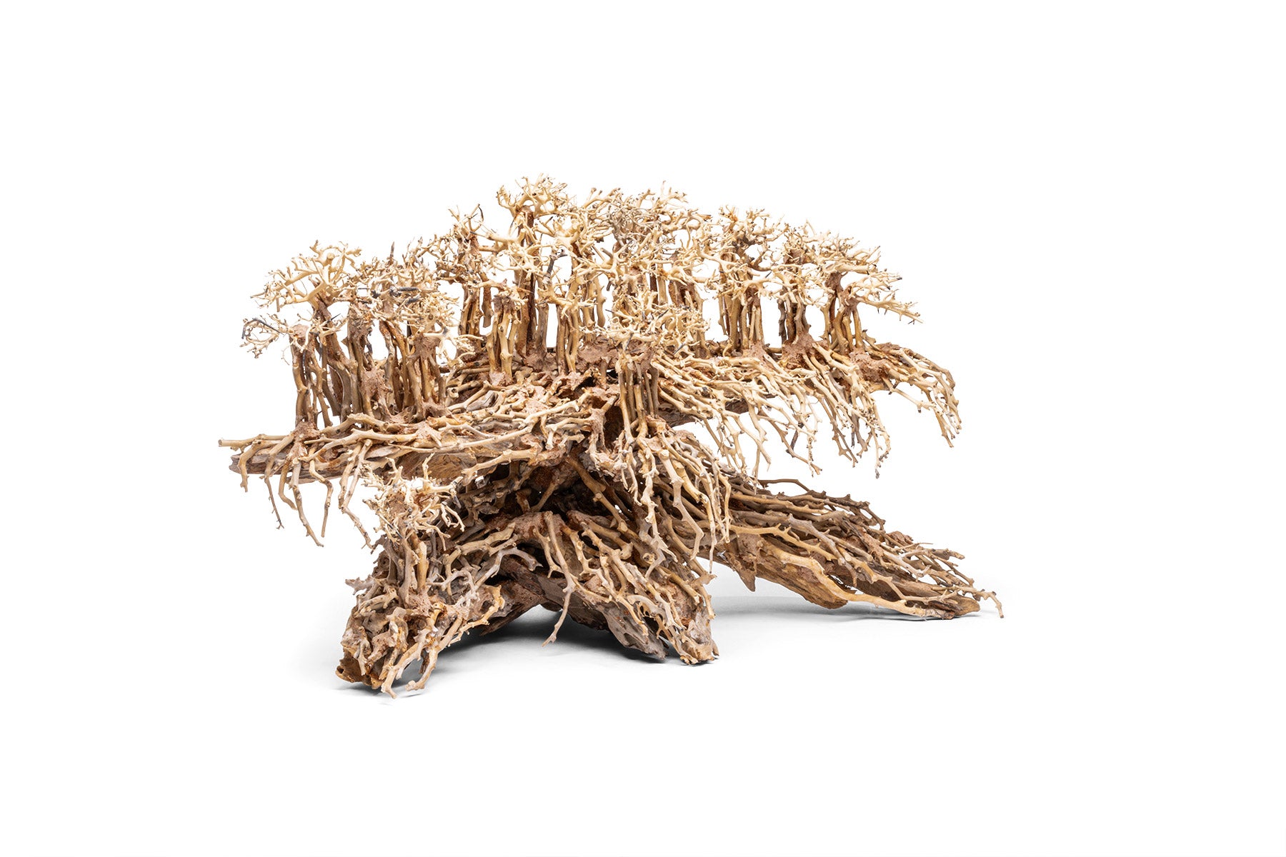 Ultum Nature Systems UNS Bonsai Tree Driftwood Aquarium Hardscape Wood 017