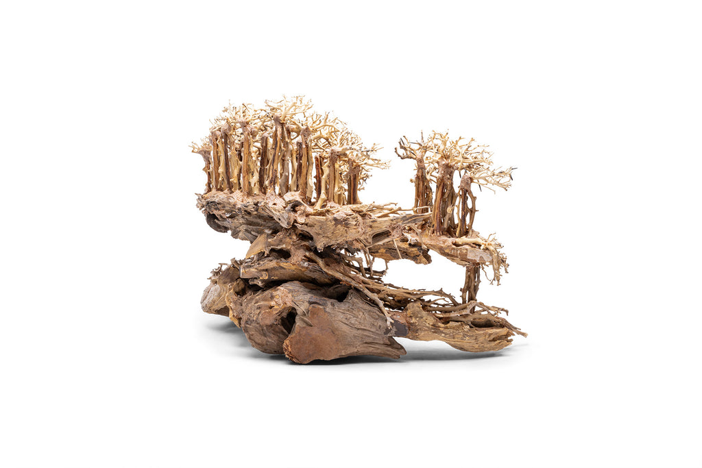 Ultum Nature Systems UNS Bonsai Tree Driftwood Aquarium Hardscape Wood 017