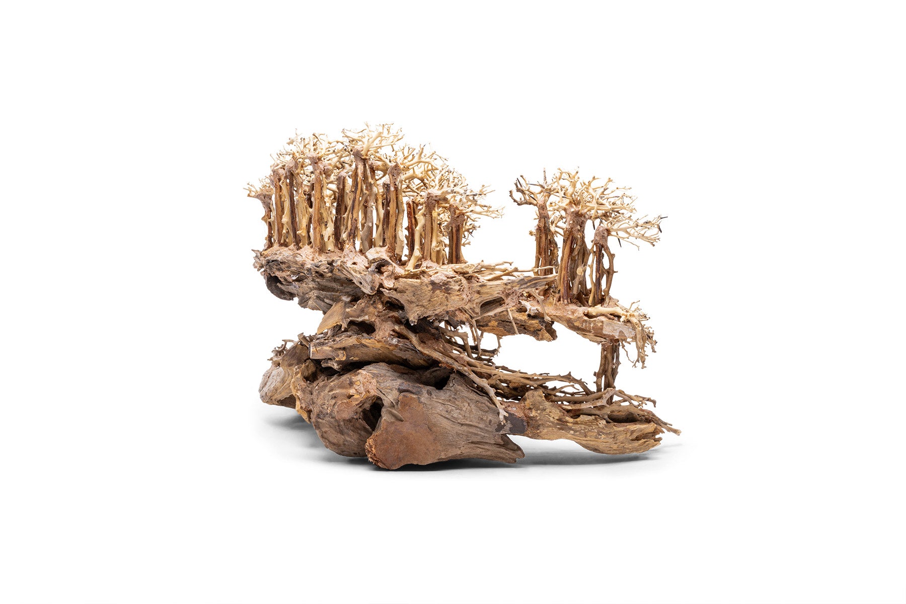 Ultum Nature Systems UNS Bonsai Tree Driftwood Aquarium Hardscape Wood 017