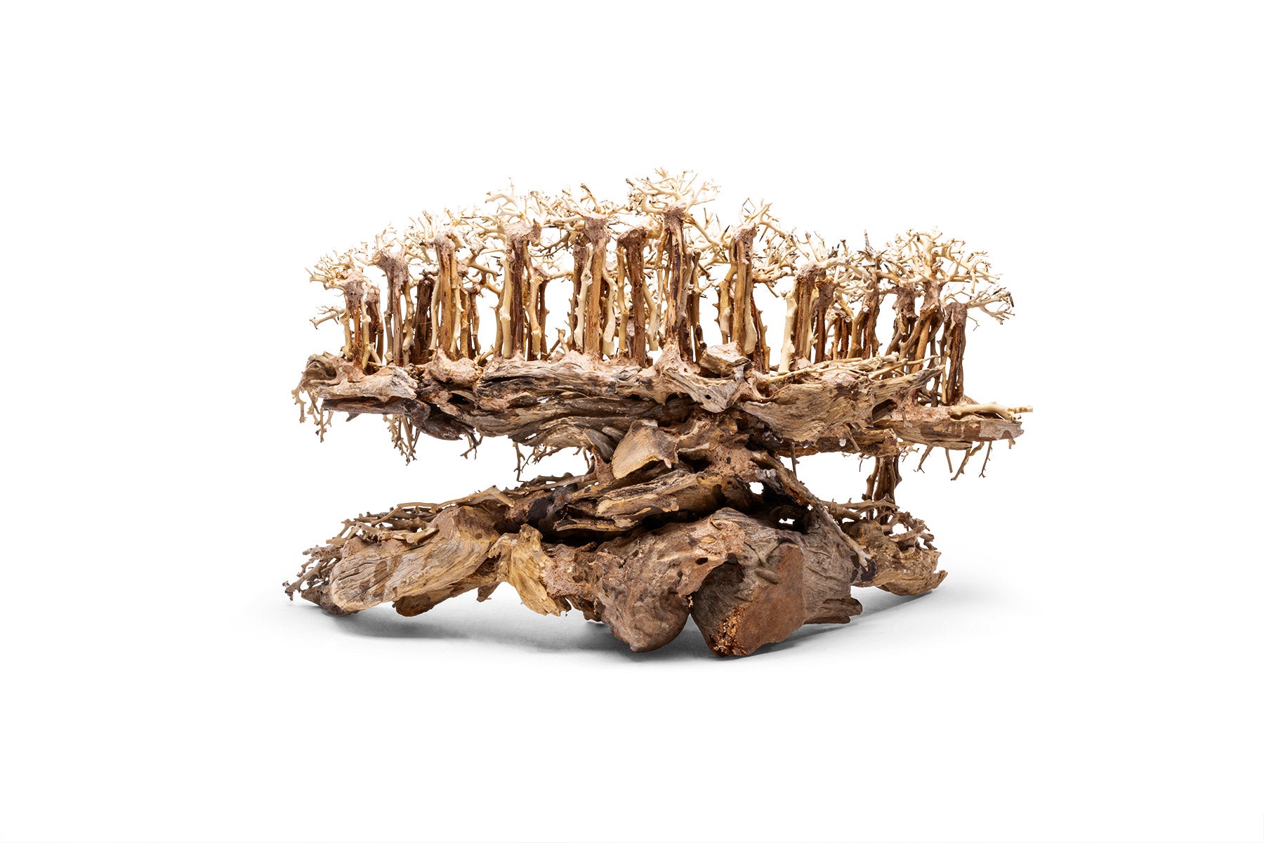 Ultum Nature Systems UNS Bonsai Tree Driftwood Aquarium Hardscape Wood 017