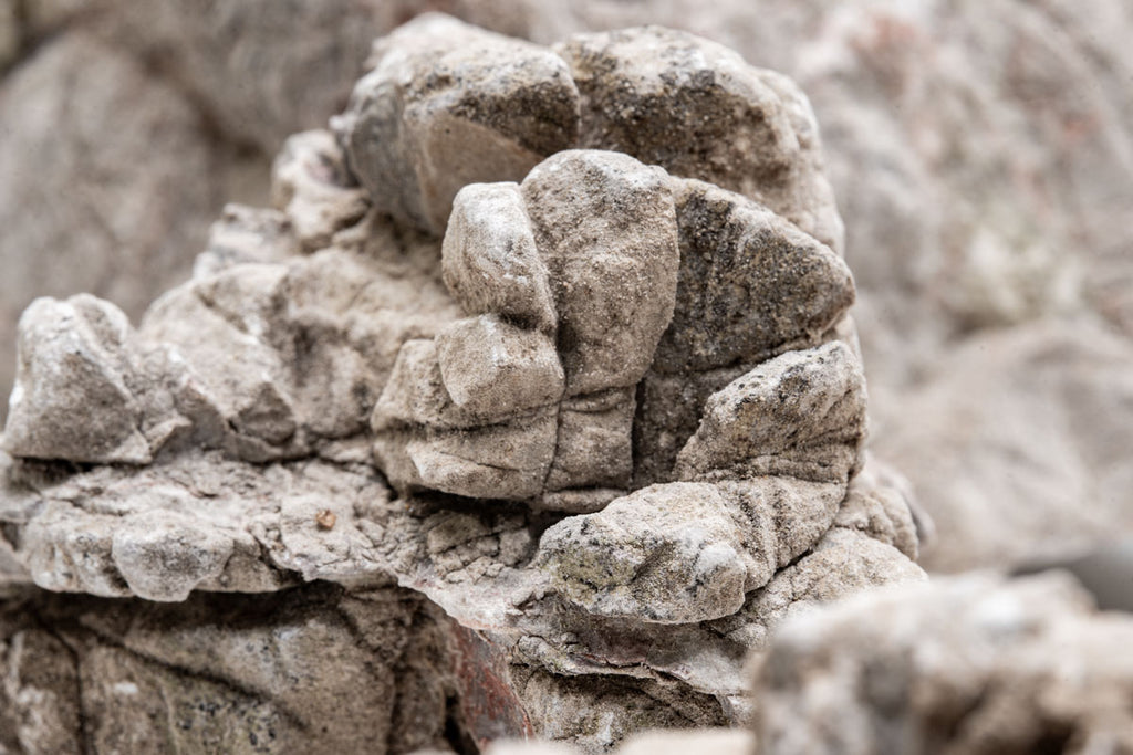 Close-up of textured elephant skin stone surface with natural grooves and indentations