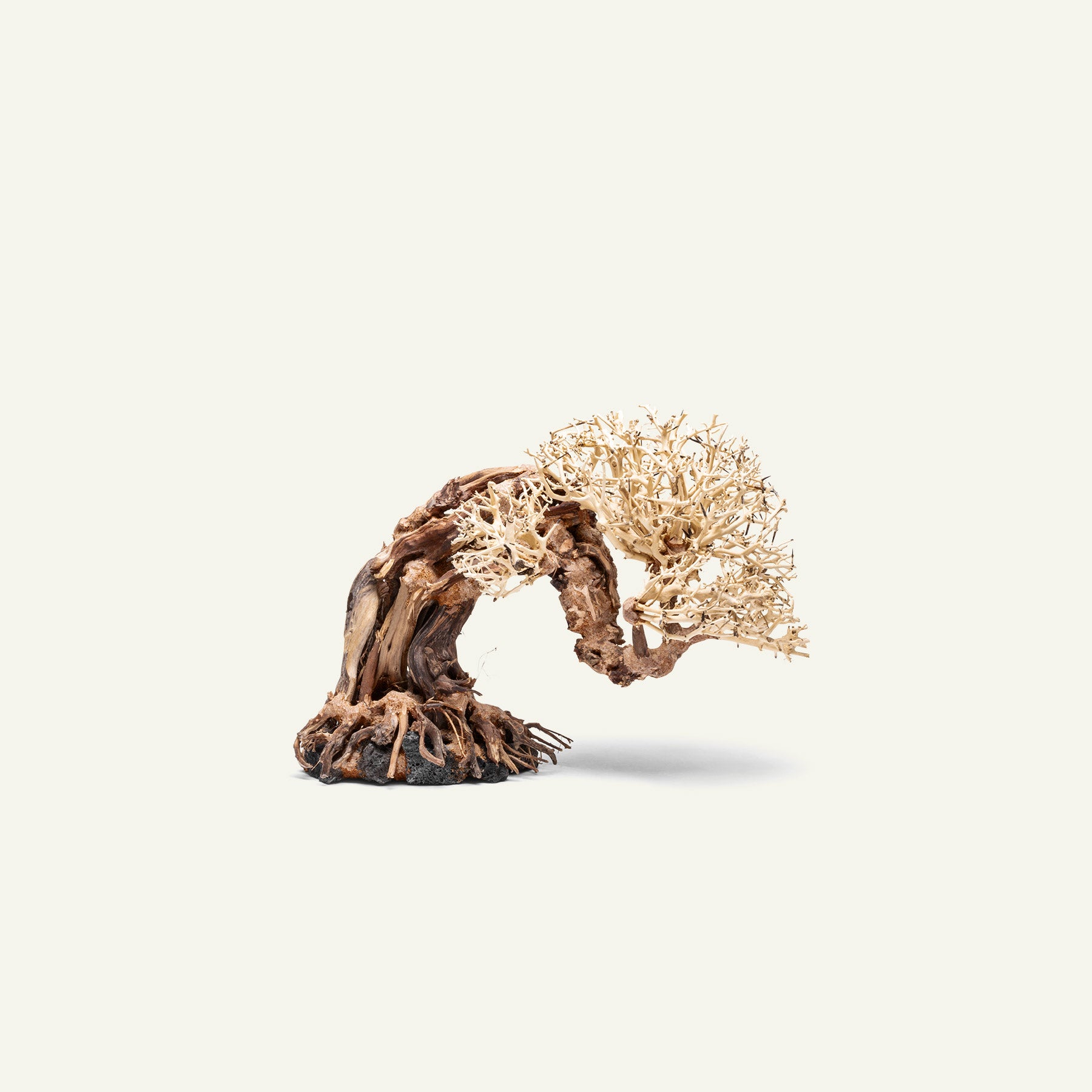 Ultum Nature Systems UNS Bonsai Tree Driftwood Aquarium Hardscape Wood 013
