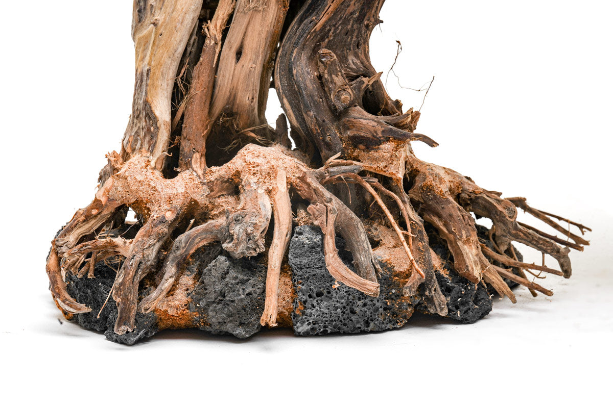 Ultum Nature Systems UNS Bonsai Tree Driftwood Aquarium Hardscape Wood 013