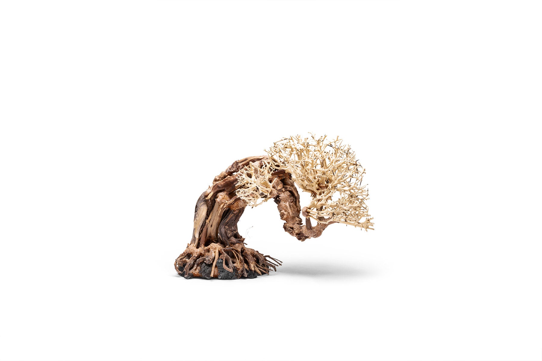 Ultum Nature Systems UNS Bonsai Tree Driftwood Aquarium Hardscape Wood 013