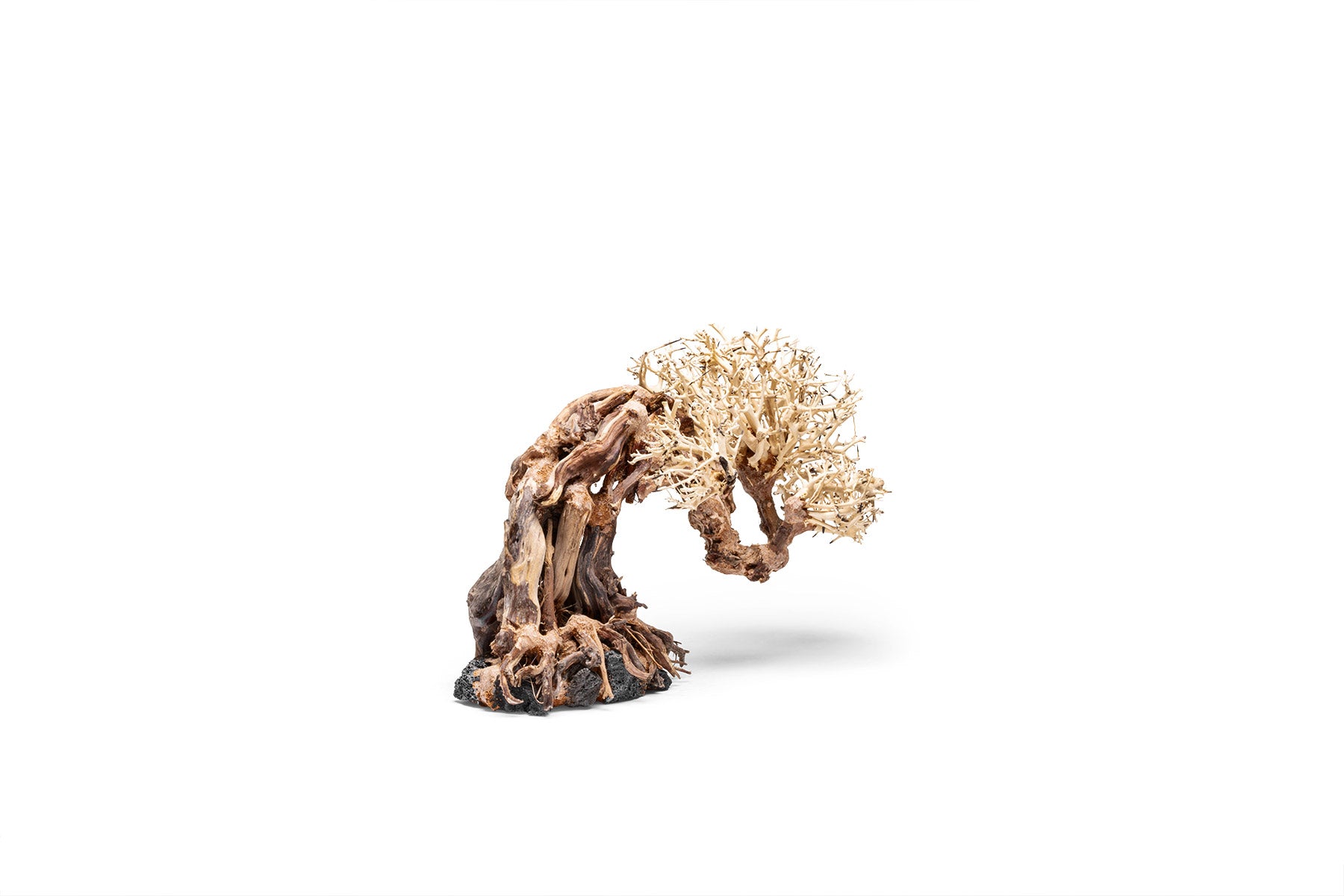 Ultum Nature Systems UNS Bonsai Tree Driftwood Aquarium Hardscape Wood 013