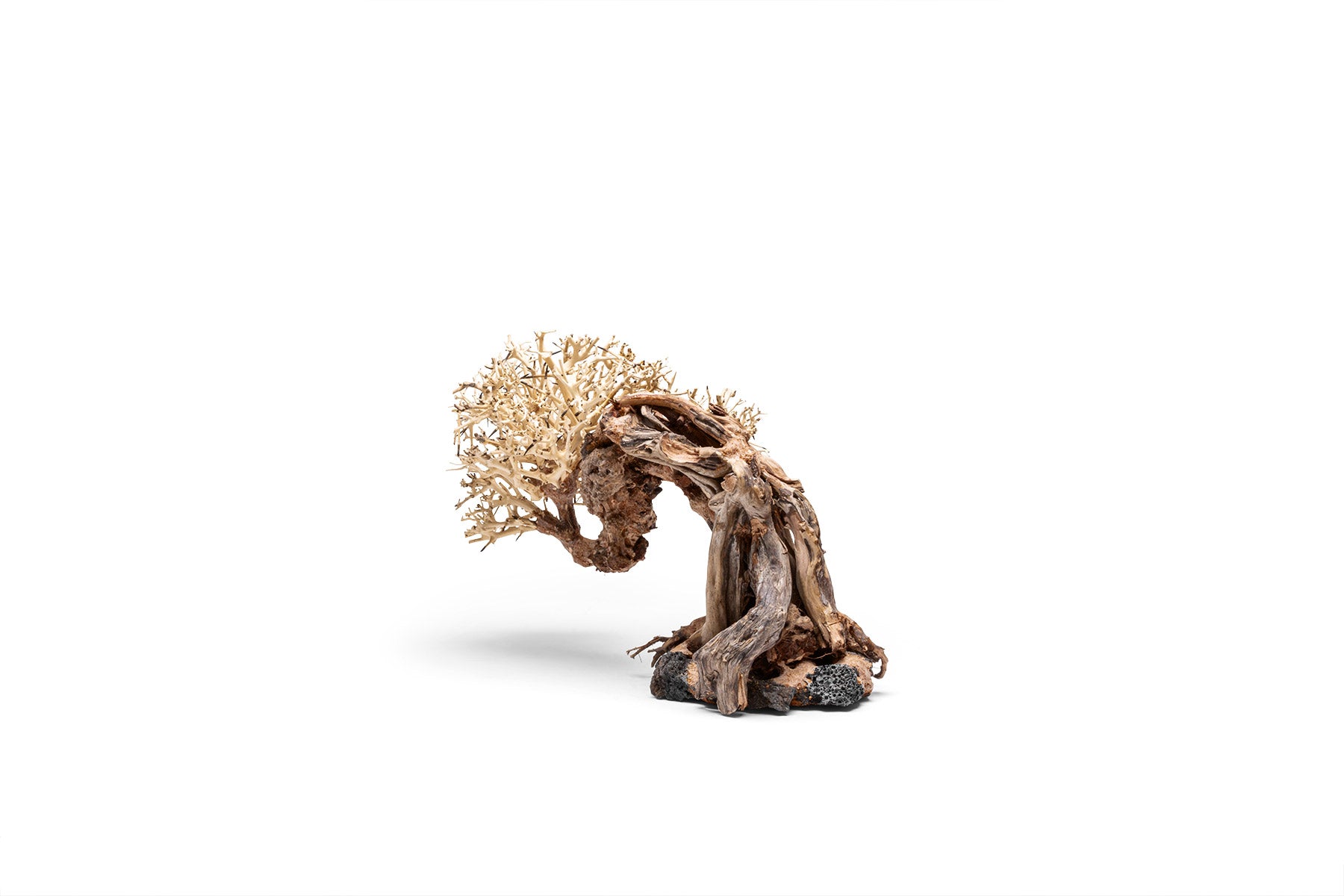 Ultum Nature Systems UNS Bonsai Tree Driftwood Aquarium Hardscape Wood 013