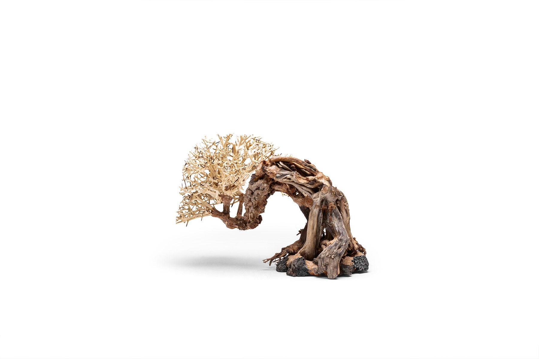 Ultum Nature Systems UNS Bonsai Tree Driftwood Aquarium Hardscape Wood 013