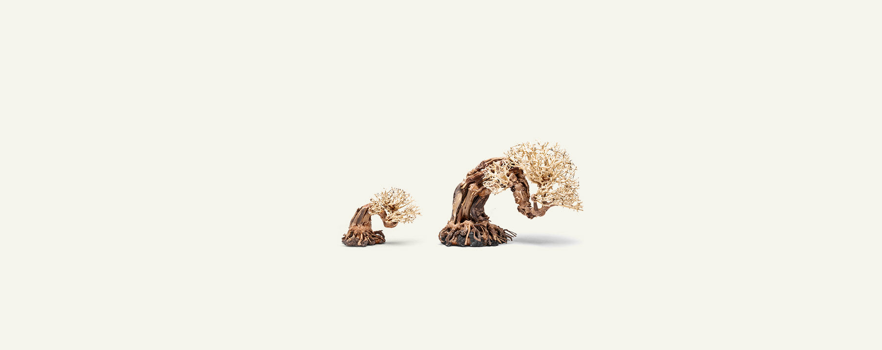 Ultum Nature Systems UNS Bonsai Tree Driftwood Aquarium Hardscape Wood 013