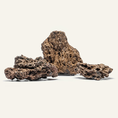 Fire Stone Aquascaping Rock | Shop Planted Tank Hardscape - Glass Aqua