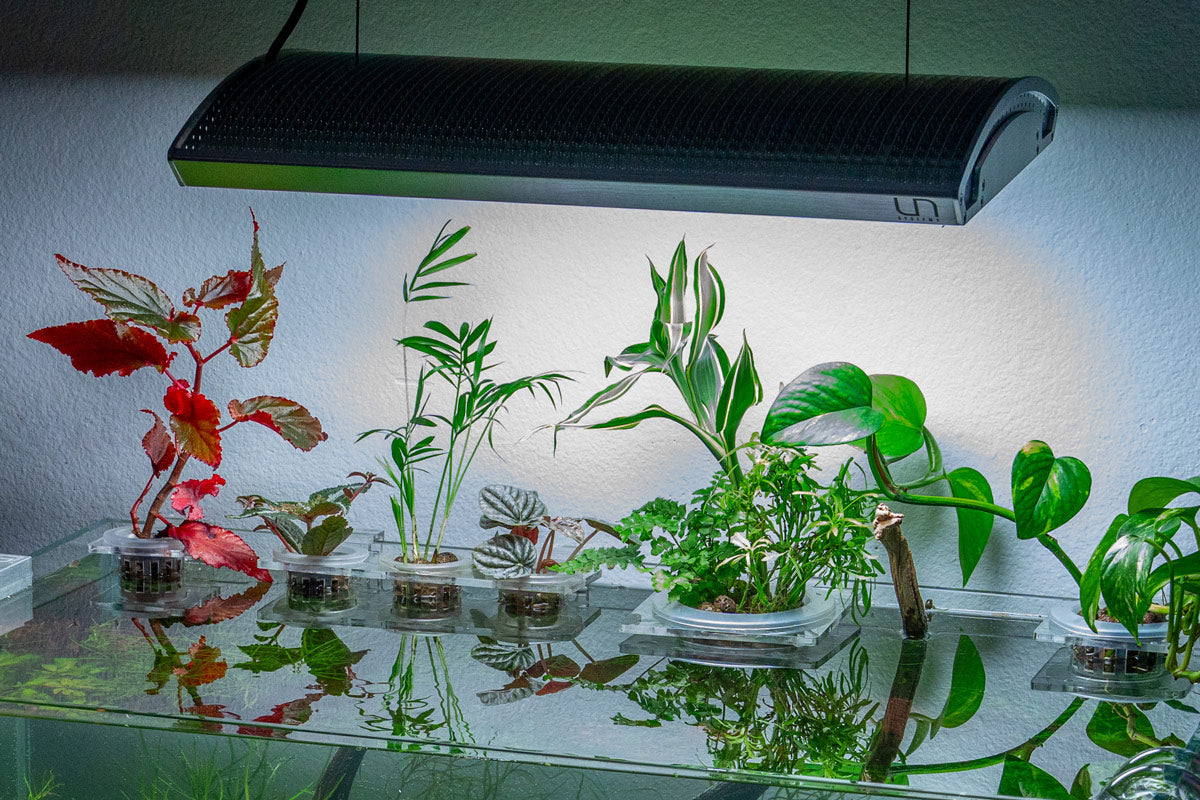 Hydroponic Planter Pot - Small - Glass Aqua