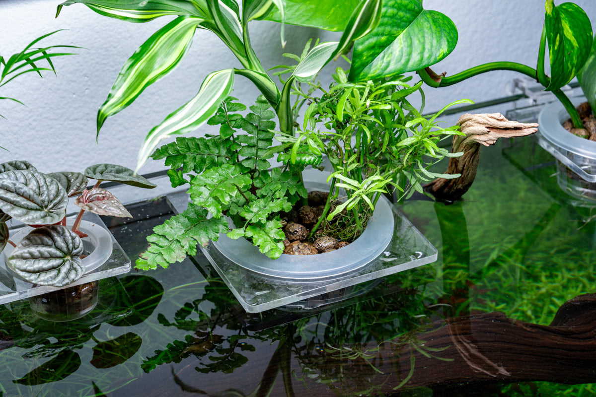 Hydroponic Planter Pot - Small - Glass Aqua