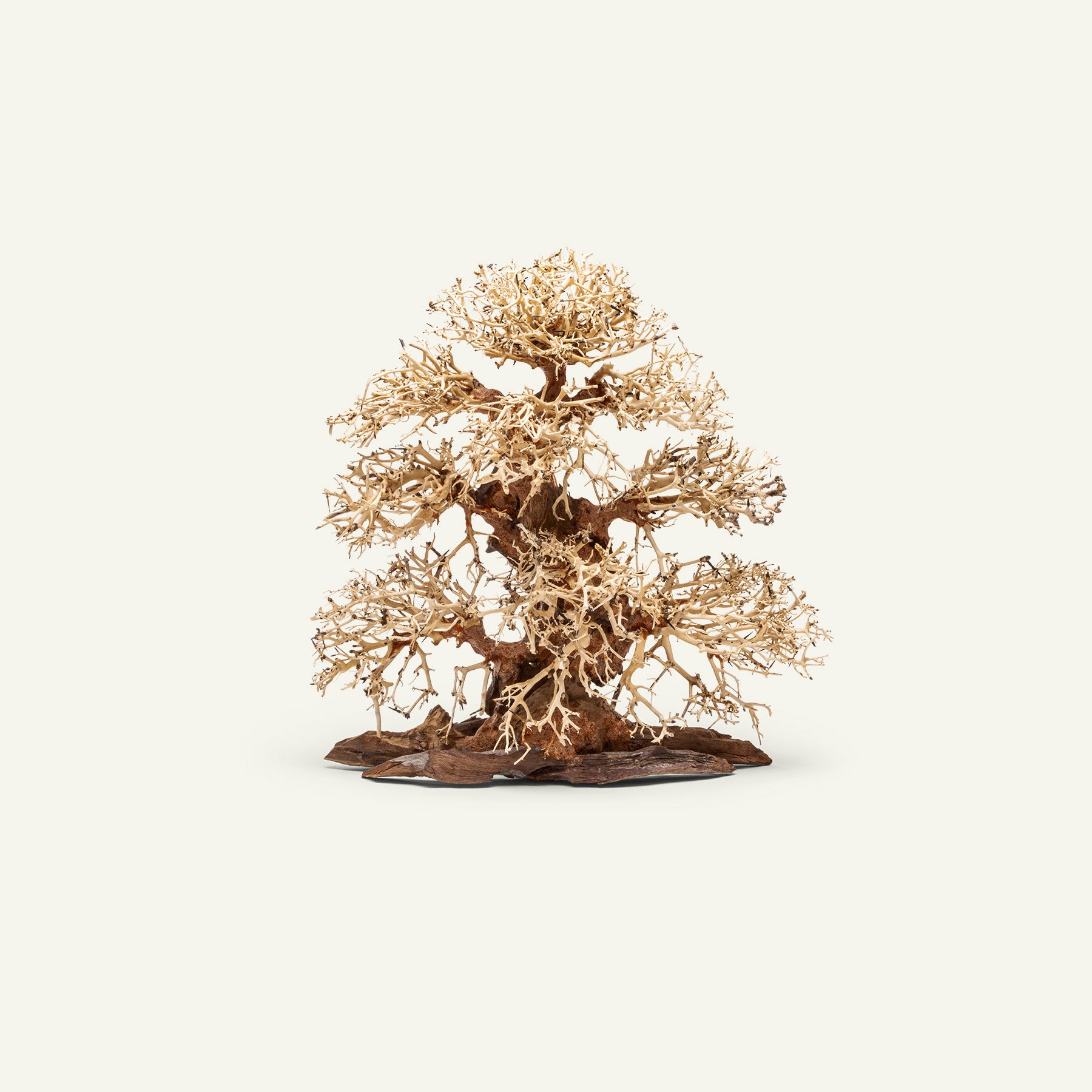 Ultum Nature Systems UNS Bonsai Tree Driftwood Aquarium Hardscape Wood  002
